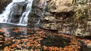 Autumn Leaves Swirling
