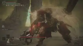 Rusted Anchor + Cragblade  | no hit | Consort Radahn - Shadow of the Erdtree