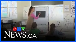 Alberta discussion over school library contents a slippery slope: experts  | Alberta Primetime