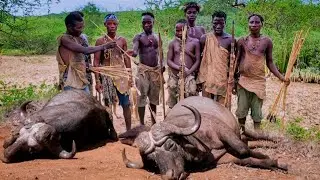 Africa's Hadzabe Tribe Hunt and Catch Buffalo / Cook Delicious Meat / Food Daily Life