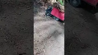 fazenda Mat&atilde;o usina porto rico