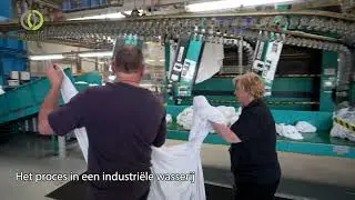 Industrieel wasproces Blycolin