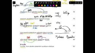 AP Latin Walkthrough: Aeneid Book 4 Lines 74-89 - Dido&rsquo;s Crush