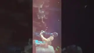 Gozando en Cuba m&iacute;a chico!!!(2)