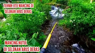 Mancing Di Selokan Kecil Arus Deras Tehnik Nutul Di Temani Bocil Mancing Belut