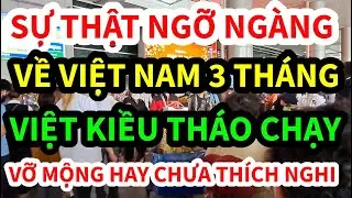 SỰ THẬT NGỠ NGÀNG: VIỆT KIỀU HỐI HẬN KHI VỀ VN ĐỊNH CƯ SAU 3 THÁNG - VỠ MỘNG HAY CHƯA THÍCH NGHI?