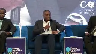 CEC Renewables Assets Manager, Eng. Hilton Fulele, at the EFFA 2025