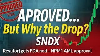 Одобрение FDA для SNDX: а что насчет резервуаров для хранения? Давайте поговорим о SNDX.