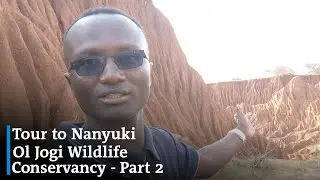 Part 2: Meet the Only Bear in Africa at Ol Jogi Wildlife Conservancy | Travel Vlog