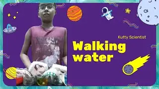 Walking water experiment in English | By Kutty Scientist