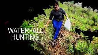 Diyaluma waterfall Sri Lanka | How to Travel Upper Diyluma | Travel channel Sinhala