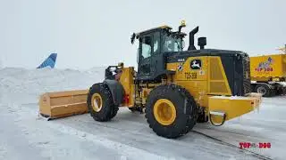 Top Dog Services - Winter Storm Fern Wrap Up (2026)