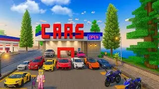 Grand Opening of My First Luxury Car Showroom in School Party Craft 