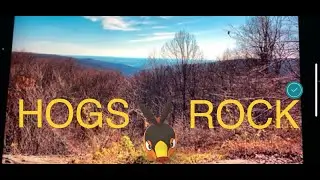 Hike Hog Rock | Catoctin Mountain Park