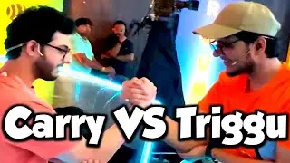 Triggered Insaan CHALLENGED Carryminati and other Youtubers | Carryminati funny moments Playground