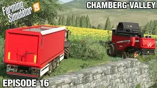 SUNFLOWER CROP FOR BIODIESEL - Chamberg Valley FS19 Ep 16