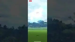 SHINY SHADOW PINSIR Catch
