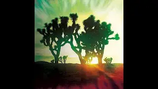 Dave Catching, Los Inamoratos - Electric Neon Feathered Hair