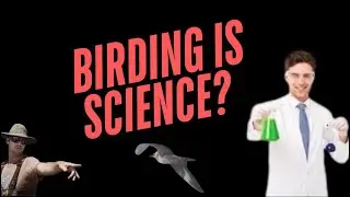 Binoculars and Big Data: How Birders Became Citizen Scientists