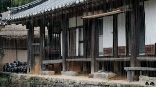 Peaceful Rain Sounds at a Traditional Korean Hanok | Soothing Water Drops from the Eaves | ASMR