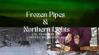 Extreme Winter in Northern Sweden | Frozen pipes, reindeer & Northern Lights