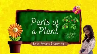 Parts Of A Plant/Learn videos for kids