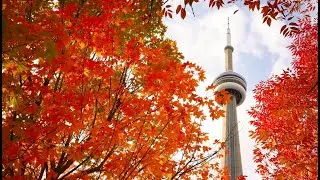 13 Affordable Enjoyable Fall Fragrances (2023)