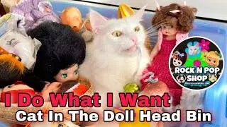 Cat in the craft room lays in bin of vintage doll heads.