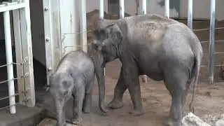 Rani und Savani in München (nicht verwendete Szene)