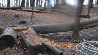 EPIC DISC GOLF SHOT