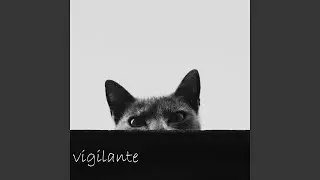 Vigilante
