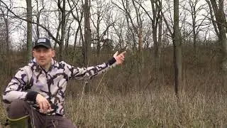 Does the perfect tree stand location exist?