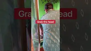 Самое опасное в содержании больших змей: их кормление!!! #шорты #змея