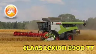 Harvest 2025 | Claas Lexion 8900 TT combine & Convio 1230 header
