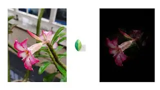 Background change  natural photos ll snepspeed || SP Editing. . instagram trending Photo editing ll