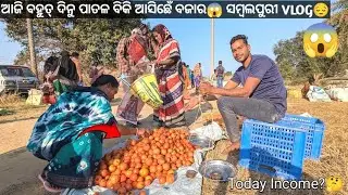 ଆଜି ବହୁତ୍ ଦିନୁ ପାତଲ୍ ବିକି ଆସିଛେଁ ବଜାର ll ସମ୍ବଲପୁରୀ VLOG😱#sambalpurivlog #tomatofarming #cornfarming 