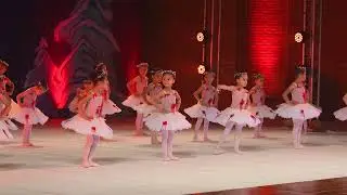 Espetáculo Floresta Nevada 2022