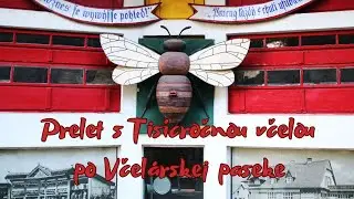 Prelet po Včel&aacute;rskej paseke s Tis&iacute;cročnou včelou