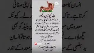 Allah ki Shan #islamicquotes #viralvideo #goldenwords #shortvideo #viral #hadees#shorts