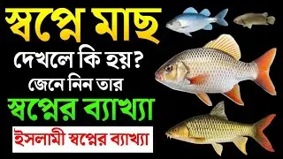 স্বপ্নে মাছ দেখলে কি হয় | swapne mach dekhle ki hoy | স্বপ্নে মাছ দেখার ব্যাখ্যা | স্বপ্নে মাছ দেখা