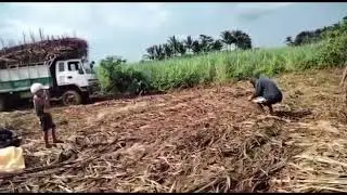 Madulas kahit double axle Ang truck namin dahil basa Ang lupa maputik at madulas