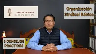 Organización del Comité Ejecutivo Sindical