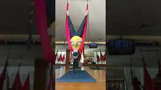 Easy Bat Pose Aerial Yoga | Upside Down Stretch #aerialyoga #acrobatics