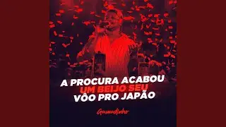 A Procura Acabou / Um Beijo Seu / V&ocirc;o pro Jap&atilde;o (Ao Vivo)