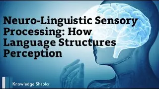 Neuro-Linguistic Sensory Processing: How Language Structures Perception