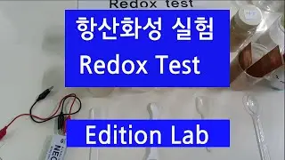 Redox reaction simple experiment _ Edition Lab (antioxidant : coffee,curcumin,ginger,cinnamon)