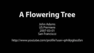 John Adams' A Flowering Tree (Excerpt)
