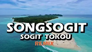 Hain Jasli - Songsogit Sogit Tokou Remix