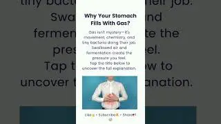 Why Your Stomach Fills With Gas?