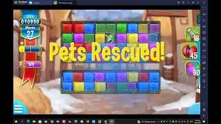 PET RESCUE SAGA LEVEL 2091,2092,2093,2094,2095,2096,2097,2098,2099,2100